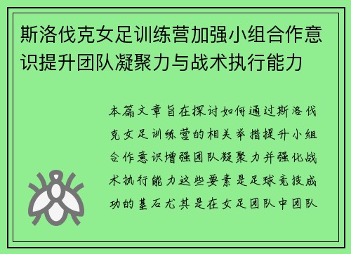 斯洛伐克女足训练营加强小组合作意识提升团队凝聚力与战术执行能力