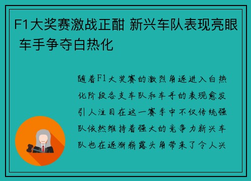 F1大奖赛激战正酣 新兴车队表现亮眼 车手争夺白热化