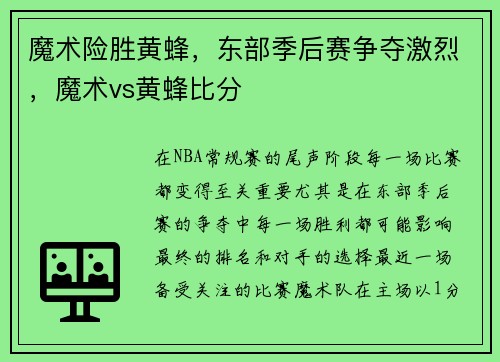 魔术险胜黄蜂,东部季后赛争夺激烈,魔术vs黄蜂比分